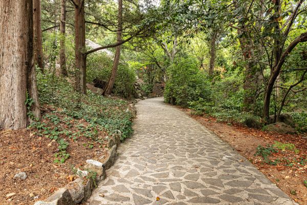 Stone Walkway Repair in Boston
