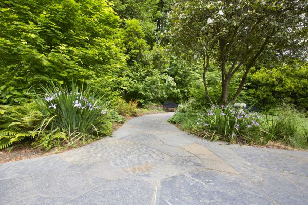 Stone Hardscape Service in Boston